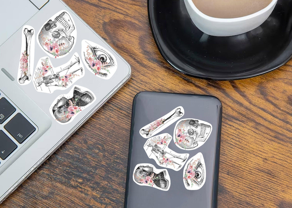 Anatomy stickers set with floral skulls and bones displayed on a laptop and phone for medical education enthusiasts.