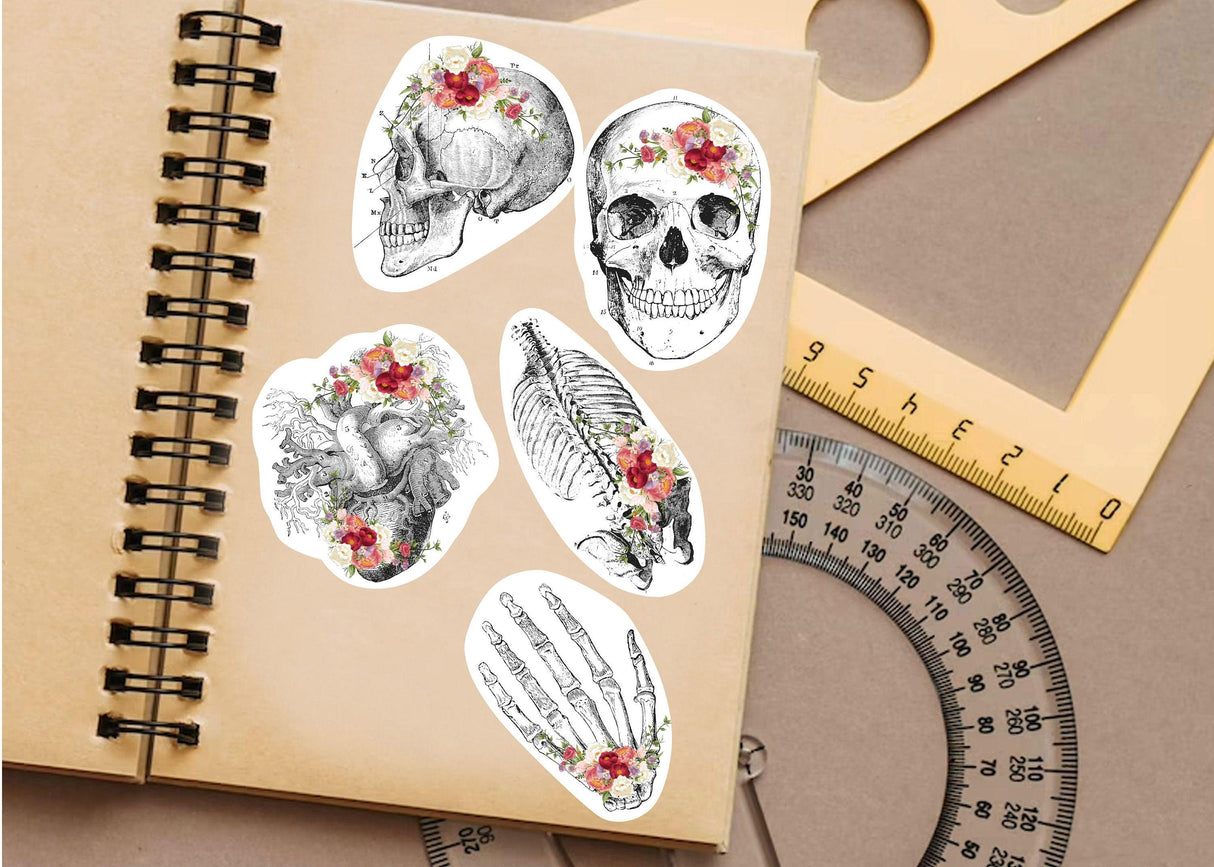 Educational medical skeleton decals with floral designs on a notebook, perfect for anatomy learning.