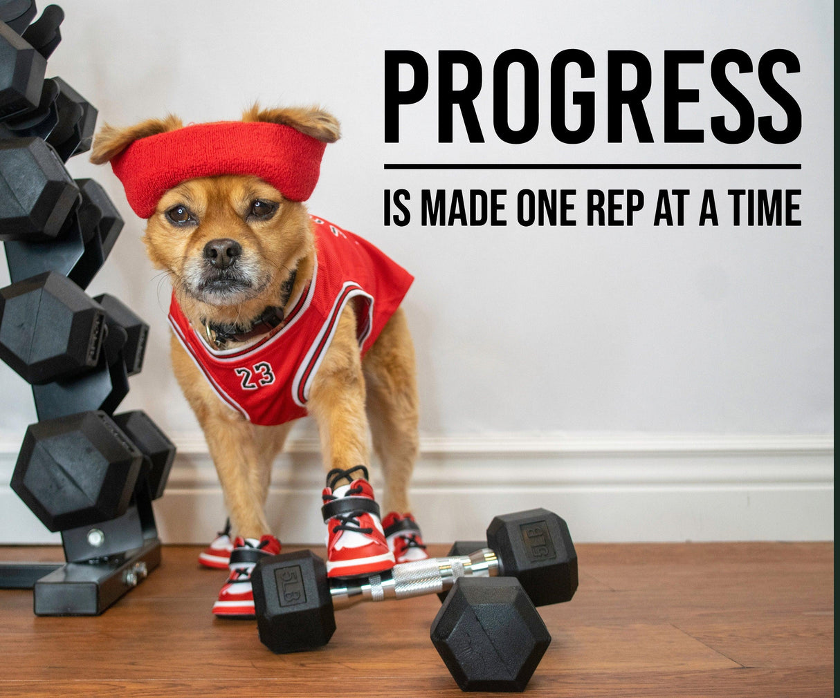Motivational gym wall decal featuring a dog in workout gear with weights and inspiring quote about fitness.