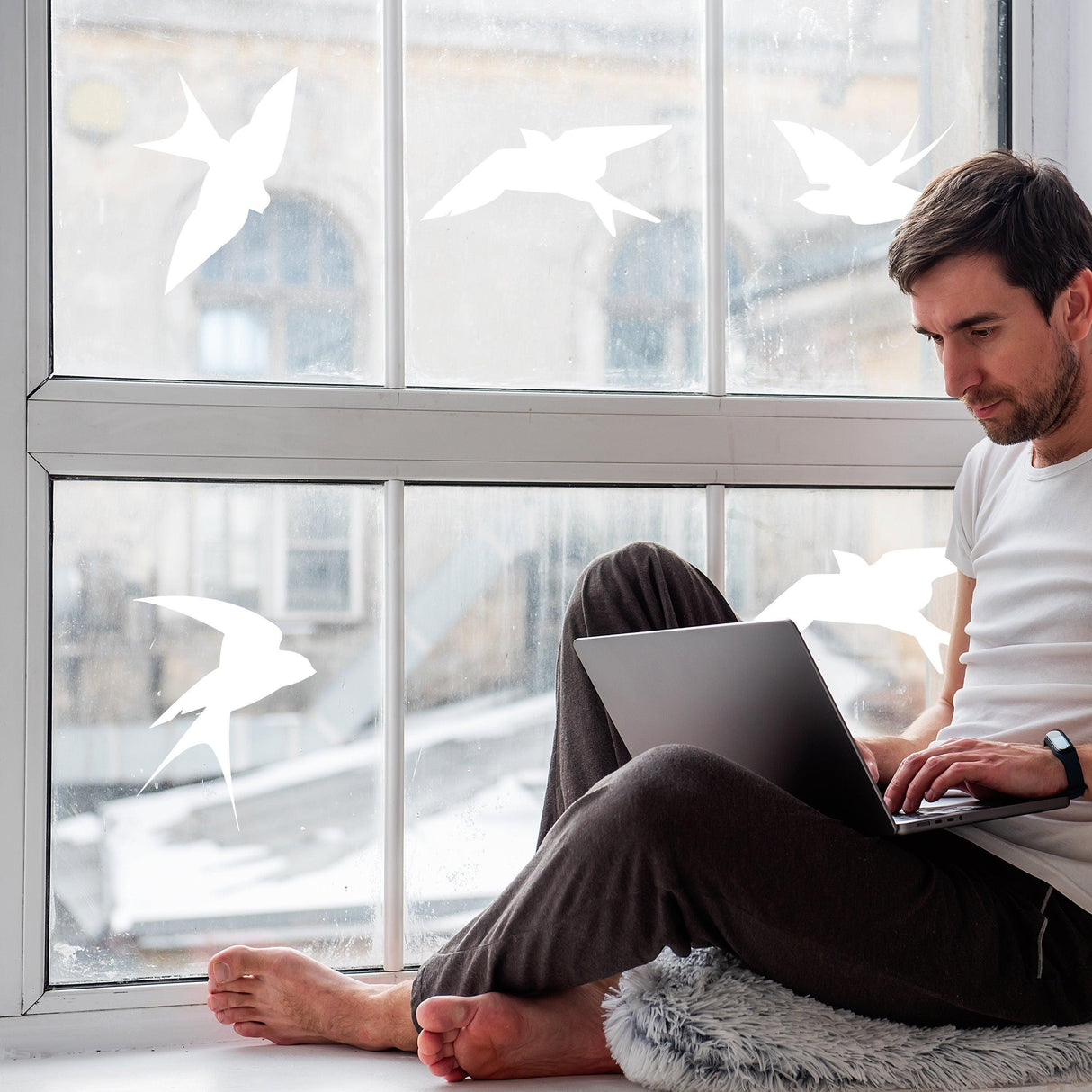 Man working on a laptop by a window with white bird silhouette decals to prevent bird strikes.