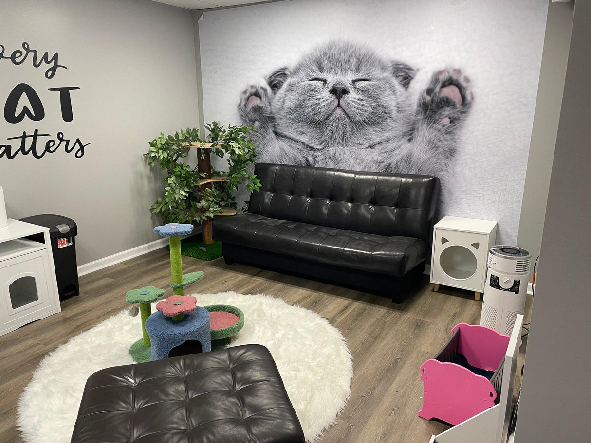 Cozy cat-themed room with black sofa, playful decor, and a large gray kitten wallpaper accent.