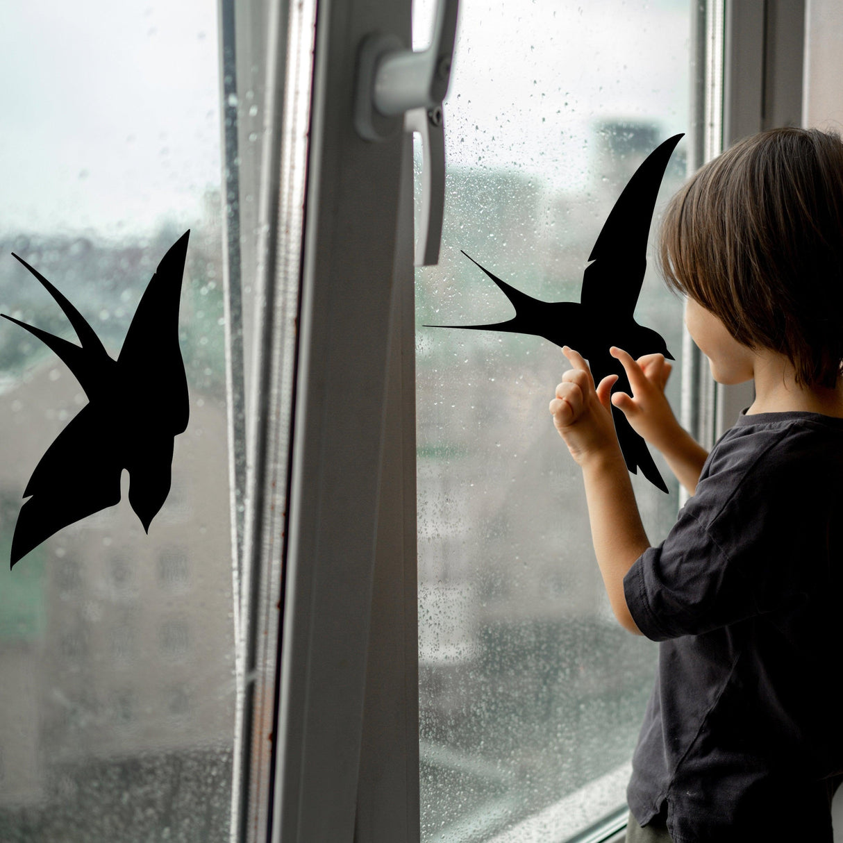 Child applying black bird silhouette decals on a rainy window to prevent bird collisions.