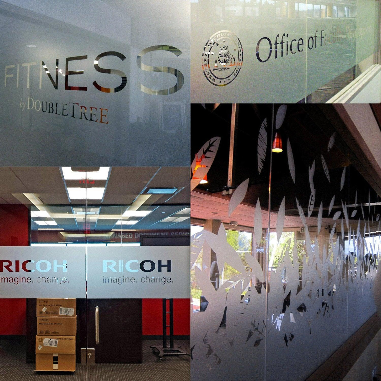 Custom frosted vinyl stickers on glass office windows displaying logos and decorative elements.