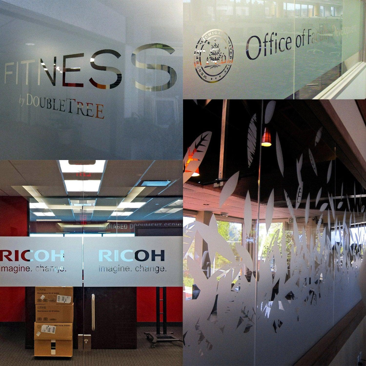 Collage of custom frosted vinyl stickers on glass surfaces, showcasing office and fitness branding.