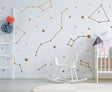 Constellations Vinyl Wall Stickers - Zodiac Star Space Ceiling Art Decals