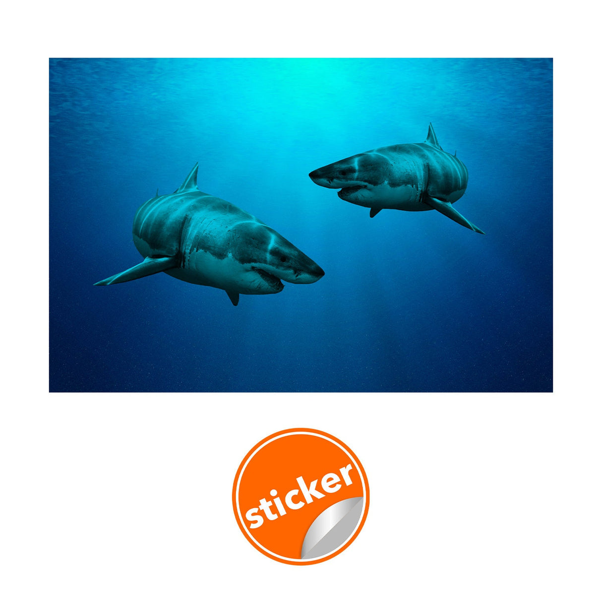 Wallpaper Shark Decor Sticker - 3d Underwater Ocean Wall Stickers Removable Decal