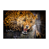 Jaguar Wallpaper Vinyl Decal Decor - Home Bedroom Peel And Stick Removable Art Wall Paper Sticker