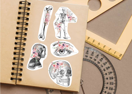 Anatomy Stickers for Hydroflask - Anatomical Decals Gift for Doctors and Medical Students