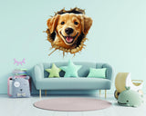 Dog Porthole in Nursery Room,