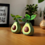Cute Avocado Flower Pot | Desk Organizer | Real Plant Holder | Avocado Home Decor | Succulent Pot | Fun Office Computer Table Decoration