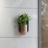 Modern Wall Planter | Minimalist Mounted Planter | Indoor Hanging Planter