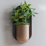 Modern Wall Planter | Minimalist Mounted Planter | Indoor Hanging Planter