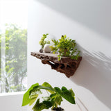 3D printed floating shelf with plants, showcasing organic design for rustic modern interiors.