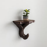 Branch Wall Shelf | Tree-Inspired Floating Plants Shelf | Black 3D Printed Decor
