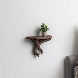 Tree branch wall shelf with plant, showcasing rustic and nature-inspired design for home decor.