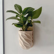 A beige, spiral-textured 3D printed planter mounted on a wall, holding a leafy green indoor plant. The design is smooth, modern, and minimalist, blending function with decor.