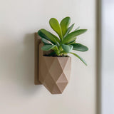 Geometric Wall Planter | 3D Printed Faceted Plant Pot | Modern Vertical Garden | Wall Mounted Indoor Planter for Small Plants