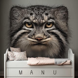 Pallas Cat Wall Decal | Realistic Manul Face Vinyl Sticker | Wildlife Animal Wall Art | Indoor Wall Decor | Large Wild Cat Wall Mural
