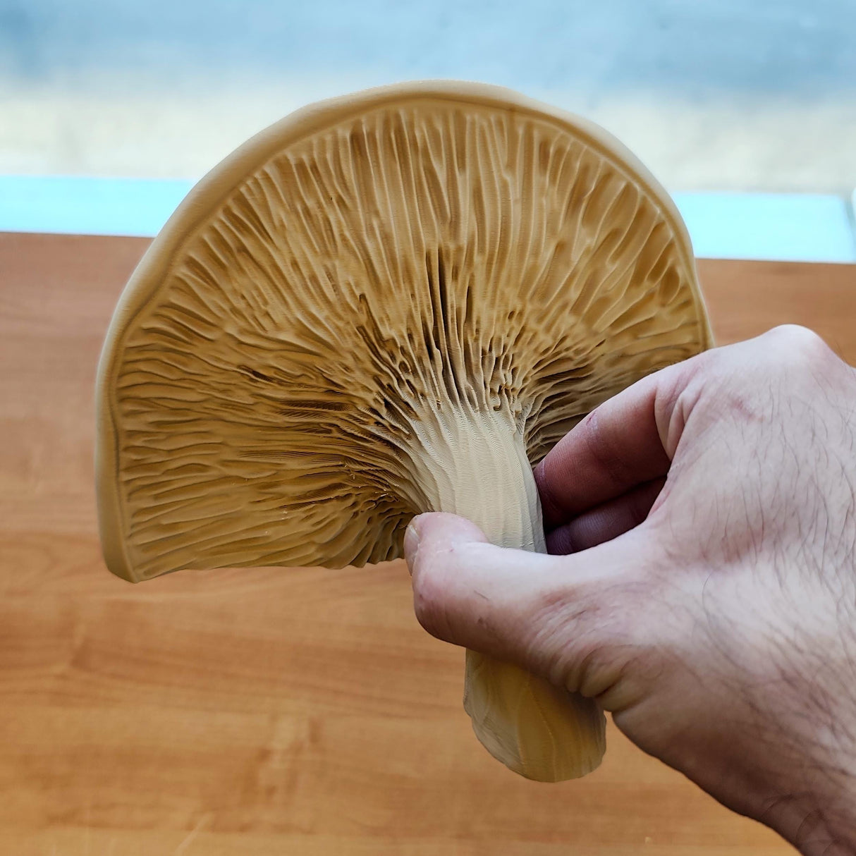 3D Printed Mushroom Shelf | Floating Wall Shelf | Fungi Wall Decor | Nature Inspired Home Accent | Modern Wall Mounted Shelf Aesthetic Decor