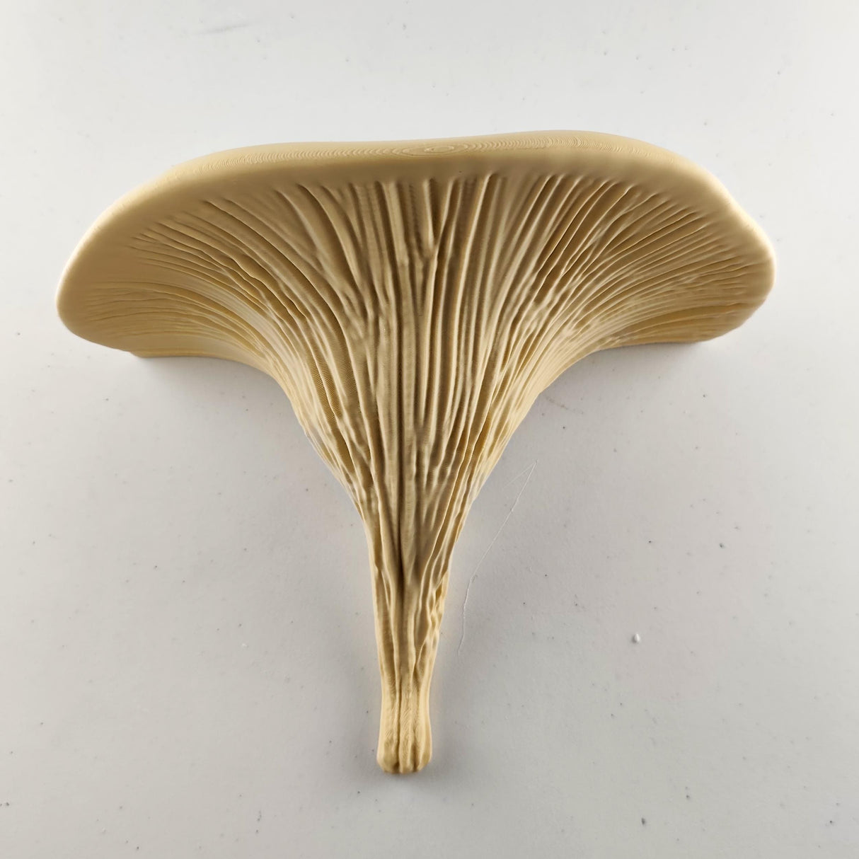 3D Printed Mushroom Shelf | Modern Floating Wall Shelf | Deadly Galerina Design