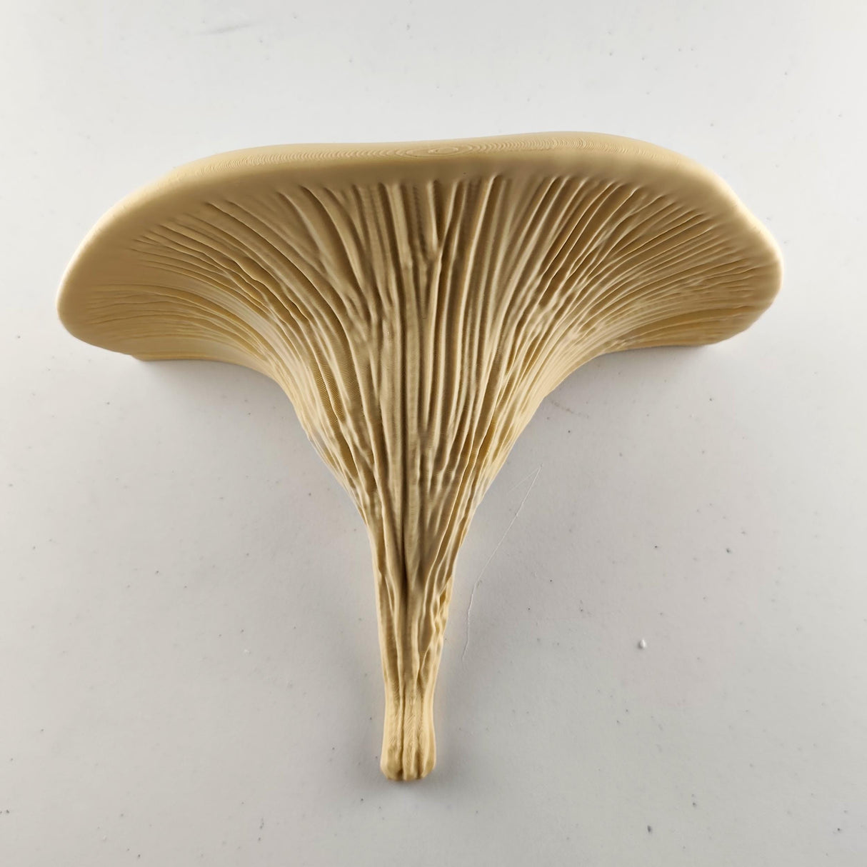 3D Printed Mushroom Shelf | Modern Floating Wall Shelf | Deadly Galerina Design | Organic Wall Art | Nature Decor | Plant Display Shelf