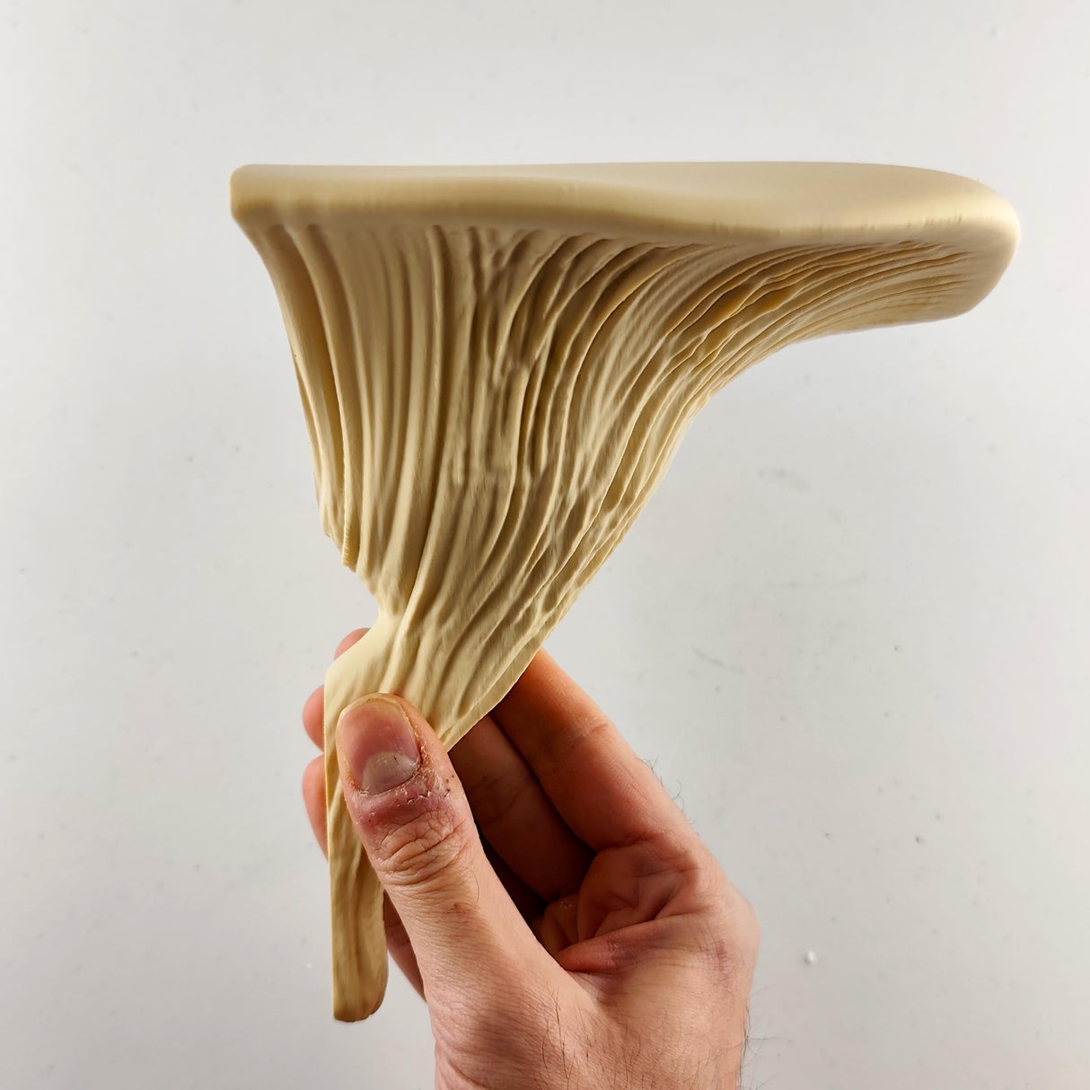 3D Printed Mushroom Shelf | Modern Floating Wall Shelf | Deadly Galerina Design
