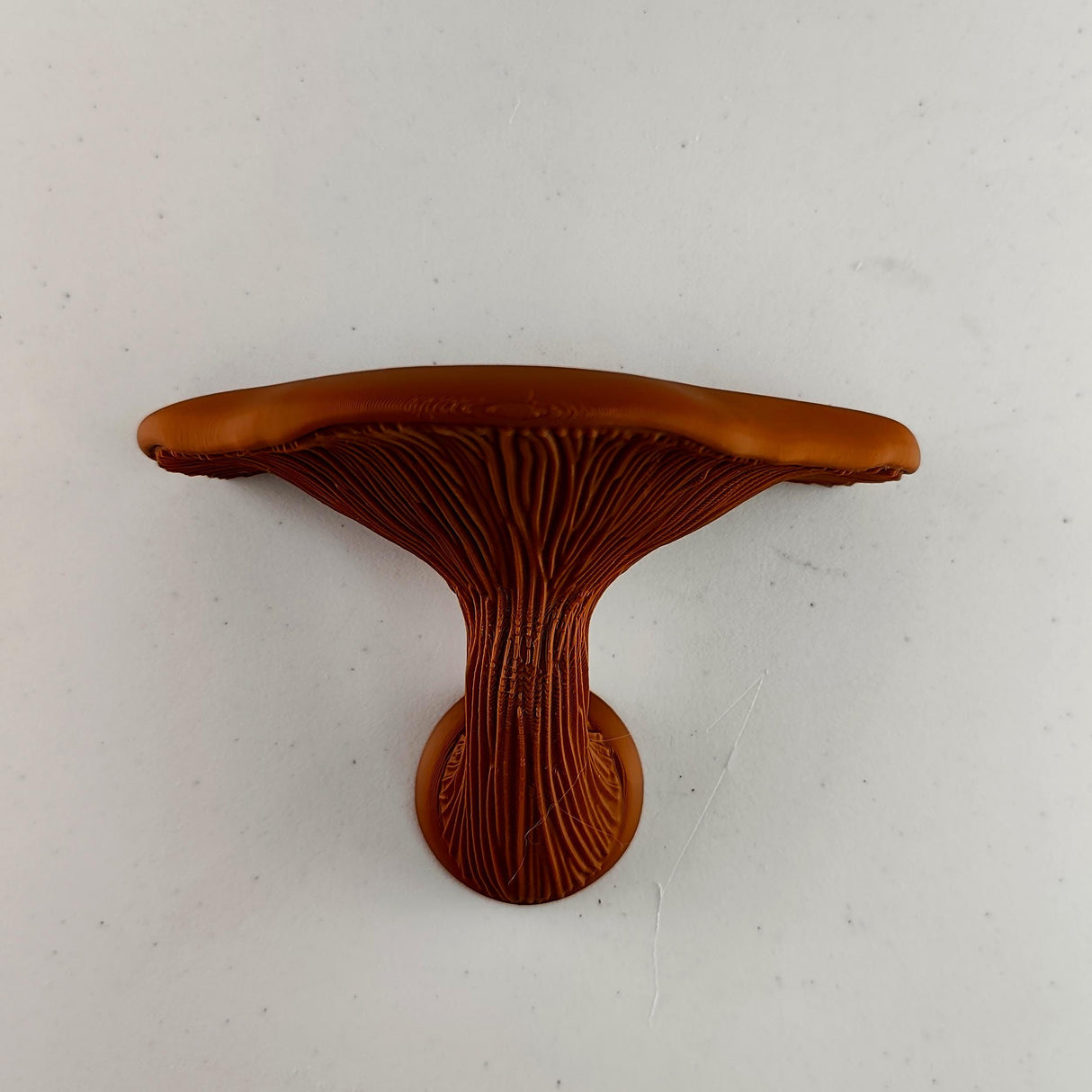 Mushroom Shelf | Floating Wall Shelf Fungi Wall Decor | 3D Printed Modern Home Accent Unique Wall Mounted Shelf