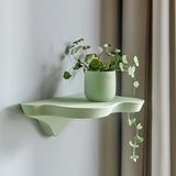 3D printed modern wall shelf with organic shape mounted on wall, holding a small plant, minimalist contemporary home decor accessory