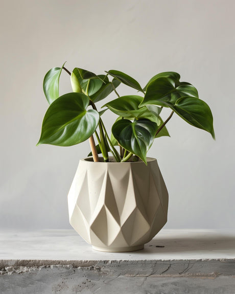 Cream-colored faceted geometric 3D printed planter with sharp angular surfaces, shown with a leafy green indoor plant for illustration; plant not included.