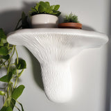Turkey Tail Mushroom Shelf | 3D Printed Wall Shelf | Sculptural Floating Shelf | Matte White Organic Wall Decor | Fungi Inspired Home Accent