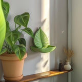 3D Printed Leaf Wall Shelf | Modern Botanical Floating Shelf Design | Unique Nature Inspired Home Decor | Contemporary Wall Shelf