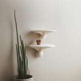 2x Mushroom Wall Shelves | Honey Mushroom Inspired 3D Printed Shelves | Sculptural Floating Shelf Pair | Minimalist Fungi Decor Wall Accent