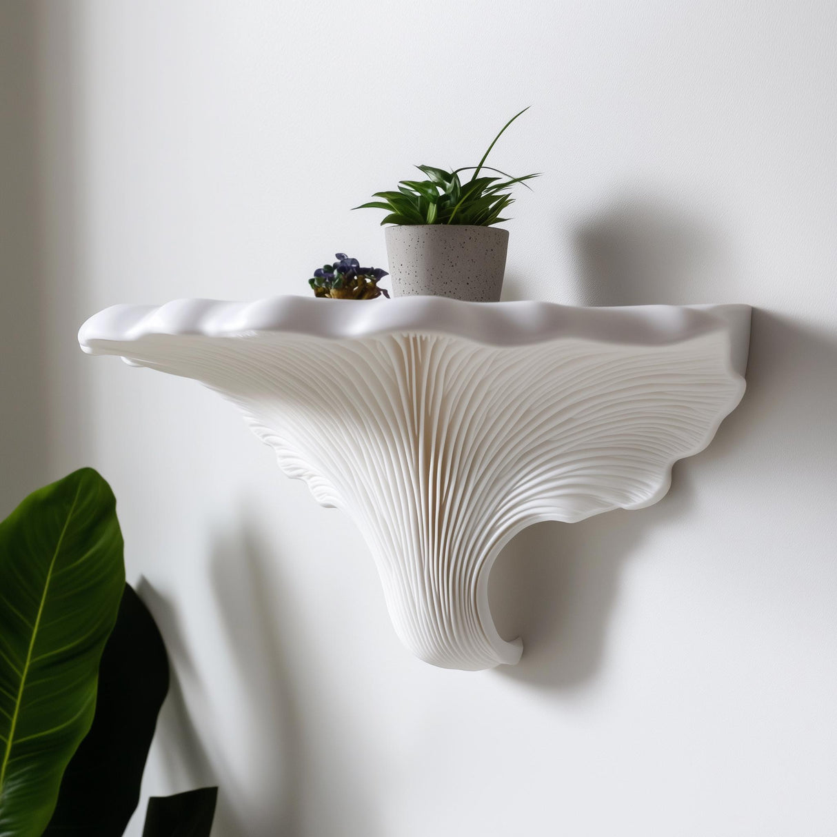 Turkey Tail Mushroom Shelf | Trametes Versicolor Wall Art | Sculptural Floating Shelf | 3D Printed Organic Shelf | Botanical Fungi Decor