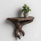 A dark brown 3D printed wall shelf resembling natural tree branches, mounted on a white wall, holding a small potted plant.