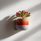 3D printed mug-style flowerpot shelf in gray, holding a small plant in a colorful pot, mounted on a wall as modern minimalist decor