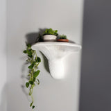 Turkey Tail Mushroom Shelf | 3D Printed Wall Shelf | Sculptural Floating Shelf | Matte White Organic Wall Decor | Fungi Inspired Home Accent