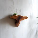 Fungi Floating Wall Shelf | 3D Printed Mushroom Organic Wall Decor | Nature Inspired Home Accent Modern Wall Mounted Shelf