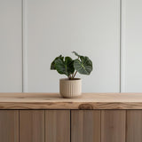 3D Printed Ribbed Planter | Modern Minimalist Plant Pot | Contemporary Indoor Planter | PLA Plastic Pot | Gift for Plant Lovers