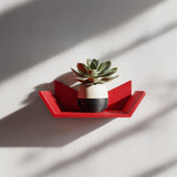 3D Printed Wall Shelf | Modern Geometric Mini Shelf | Small Plant Display Shelf