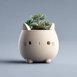 Cute 3D printed matte PLA cat-shaped planter with a rounded body and tiny feet, holding small succulents on a soft blue background.