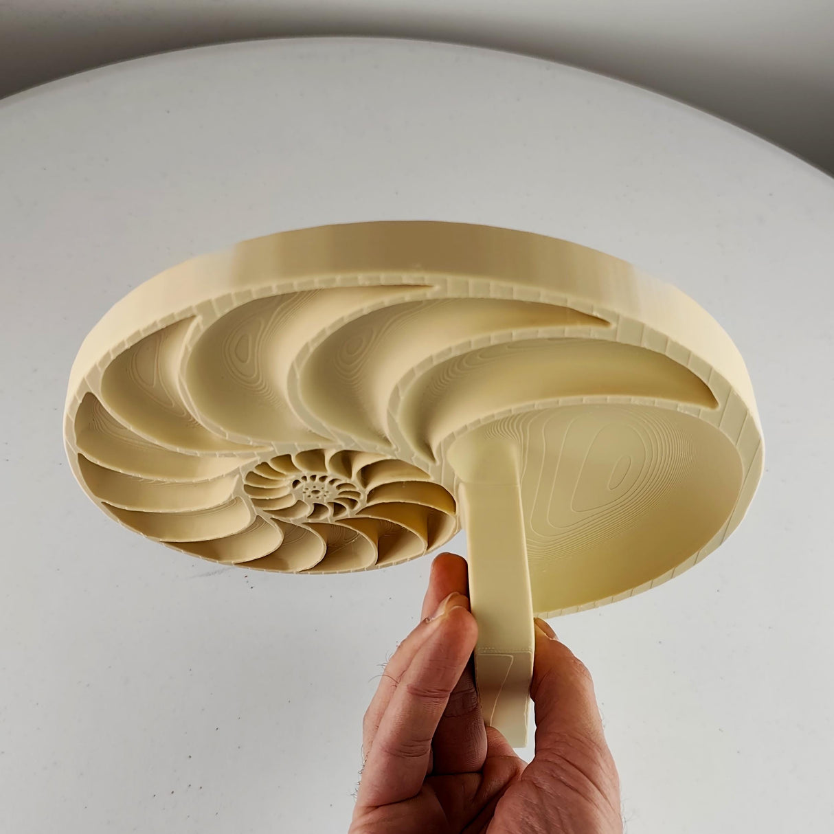 Nautilus Wall Shelf | Spiral Floating Shelfs | 3D Printed Geometric Wall Art