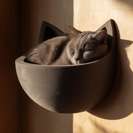 3D printed wall mounted cat shelf bed with rounded bowl shape and cat ear details, holding a sleeping cat in warm natural sunlight.