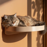 3D printed wall mounted cat shelf bed with smooth curved platform, holding a sleeping cat in warm natural sunlight near a window.