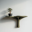 3D printed organic modern wall shelf with smooth flowing support and matte earthy finish, mounted on a light minimalist interior wall.