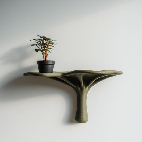 3D printed organic modern wall shelf with smooth flowing support and matte earthy finish, mounted on a light minimalist interior wall.