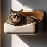 3D printed wall mounted cat bed shelf in matte light wood-tone PLA with a tabby cat resting inside, mounted on a neutral wall in warm sunlight.