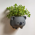 3D printed koala-shaped wall planter pot in matte dark gray PLA, mounted on a neutral wall and holding a small green houseplant.