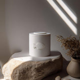 Fish Pet Ashes Urn | 3D Printed Minimal Cremation Keepsake with Lid for Any Pet | Modern Memorial Tabletop Decor, Sympathy Gift Remembrance