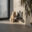 Alternate product view of 3D Printed Crown Wall-Mounted Pet Bowl Holder.