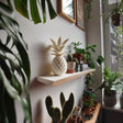 Additional product view of 3D Printed Geometric Pineapple Memorial Urn.